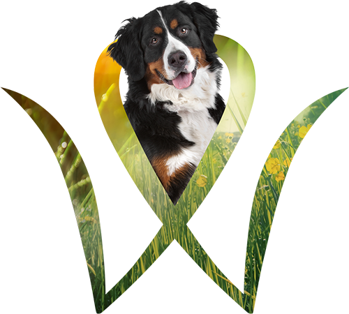 WuffiMIX Logo
